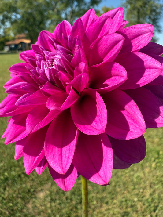 Florelie Jeanette 🇦🇺 LIMIT ONE
