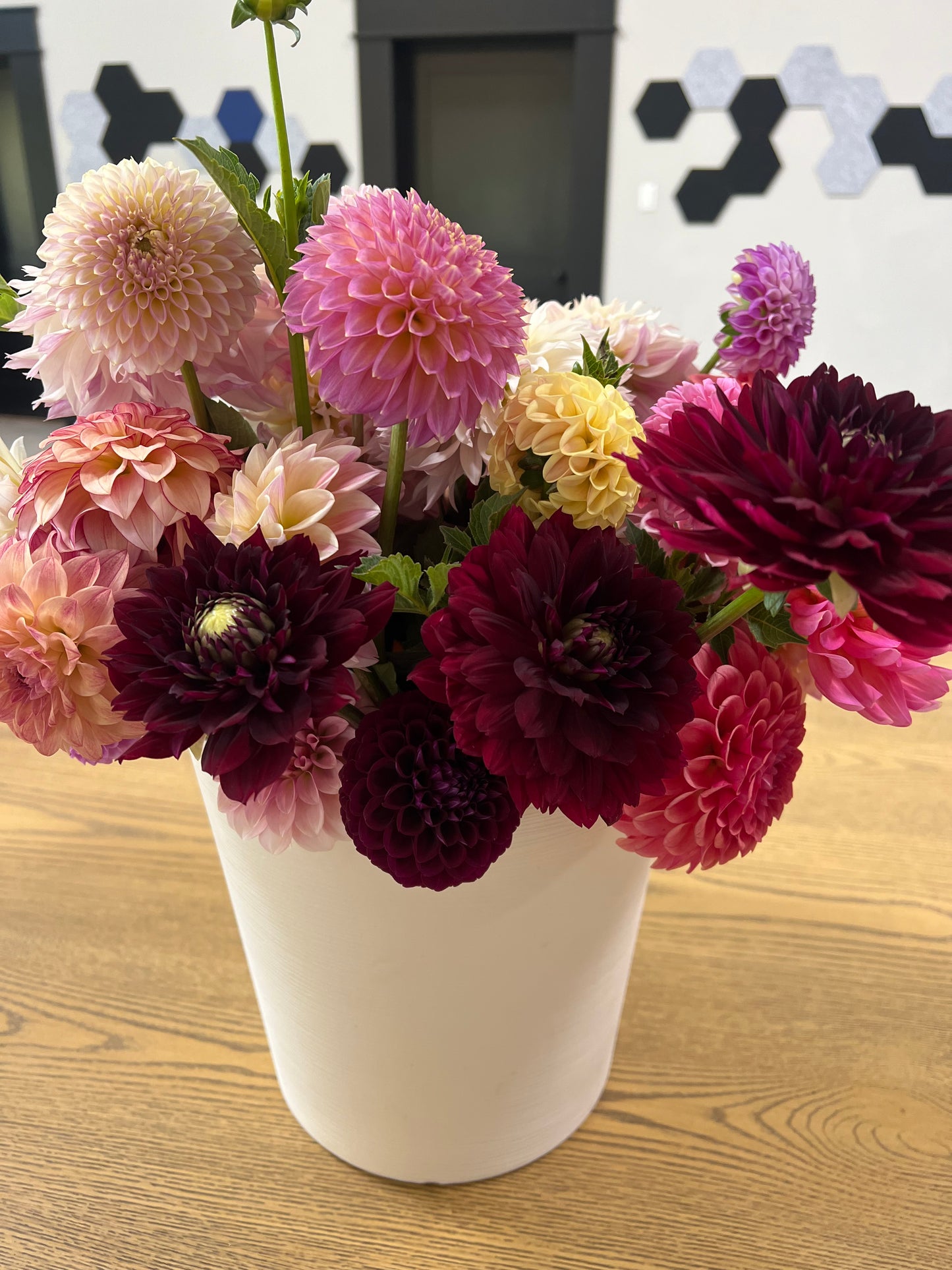 Wholesale Buyers Choice Dahlia Buckets