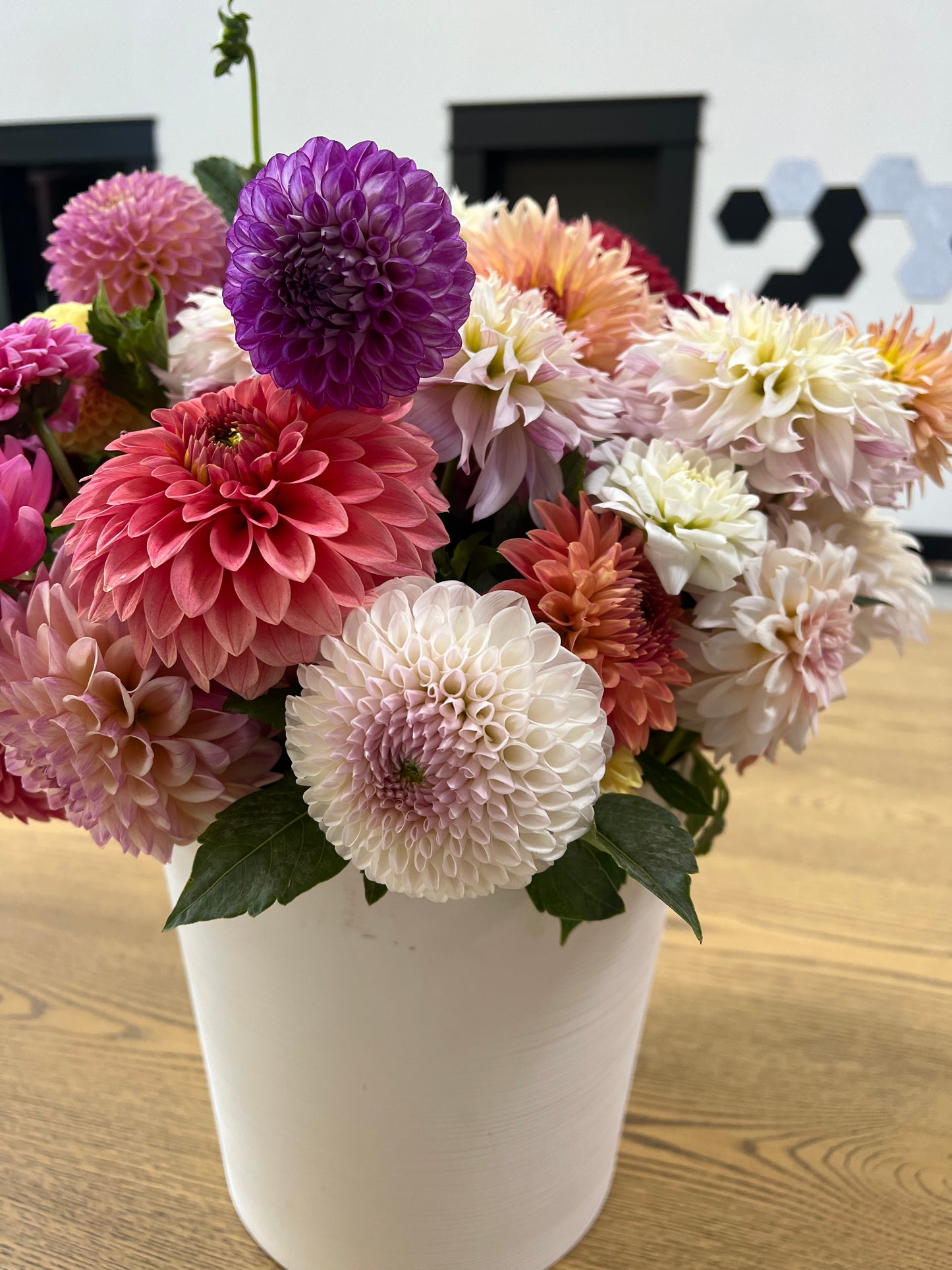 Wholesale Buyers Choice Dahlia Buckets