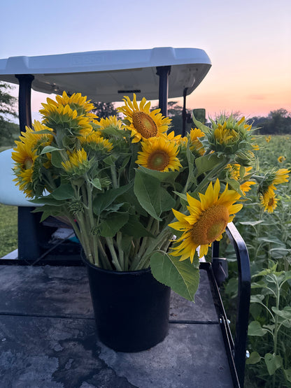 Sunflower Bouquet
