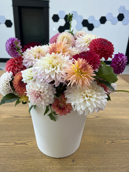 Wholesale Growers Choice Dahlia Buckets