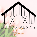 Eden Benary Rooted Cutting